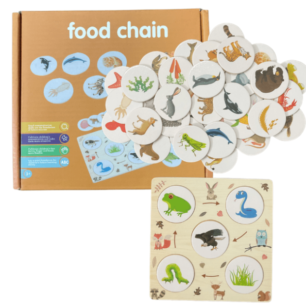 Wooden Food Chain Game